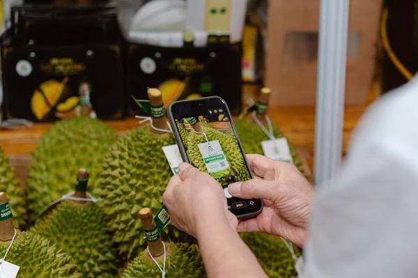 Tăng cường thực hiện truy xuất nguồn gốc đối với sầu riêng tươi xuất khẩu sang Trung Quốc