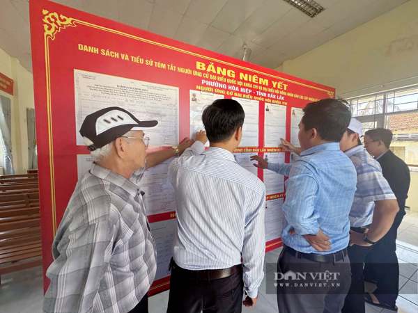 Thống kê số lượng cử tri