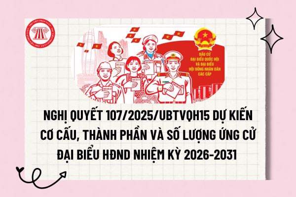 Cơ cấu, thành phần đại biểu HĐND các cấp nhiệm kỳ 2026-2031 theo Nghị quyết số 107/2025/UBTVQH15 của Ủy ban Thường vụ Quốc hội