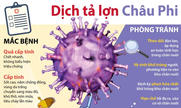 UBND TỈNH ĐẮK LẮK KHUYẾN CÁO NGƯỜI DÂN TĂNG CƯỜNG PHÒNG, CHỐNG BỆNH TẢ