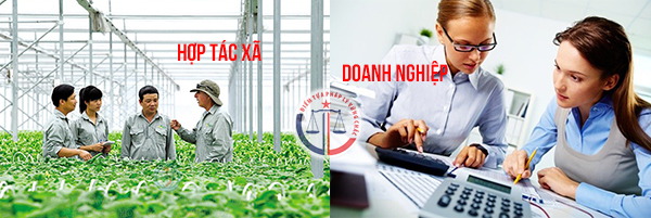 Đắk Lắk chuẩn bị tổ chức Hội nghị gặp mặt đối thoại  doanh nghiệp, hợp tác xã năm 2025