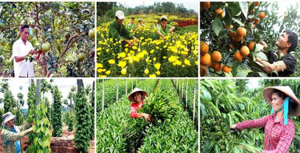 Phó Thủ tướng Trần Hồng Hà: Hoàn thiện chuẩn nghèo đa chiều,  lồng ghép hiệu quả Chương trình xây dựng nông thôn mới và giảm nghèo bền vững