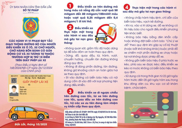 Các hành vi vi phạm quy tắc giao thông đường bộ của người điều khiển xe ô tô, xe chở người, chở hàng bốn bánh có gắn động cơ và xe tương tự thuộc trường hợp bị trừ 10 điểm trên giấy phép lái xe 