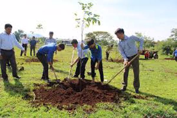 UBND tỉnh Đắk Lắk phát động “Tết trồng cây đời đời nhớ ơn Bác Hồ”  nhân dịp Xuân Bính Ngọ 2026