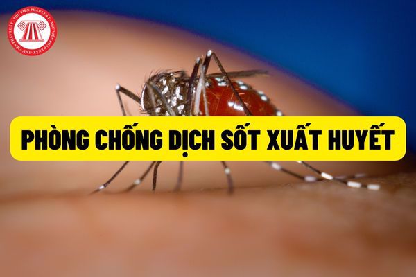Tăng cường công tác phòng, chống bệnh sốt xuất huyết
