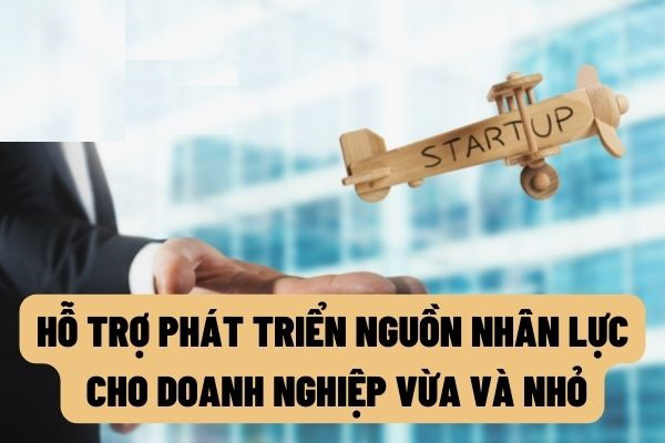 Hỗ trợ đào tạo về khởi sự kinh doanh và quản trị kinh doanh cho doanh nghiệp nhỏ và vừa năm 2022
