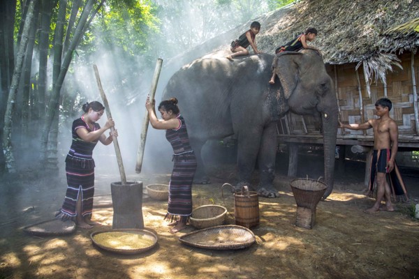 Kế hoạch thực hiện chiến lược phát triển Gia đình Việt Nam đến năm 2030 trên địa bàn tỉnh Đắk Lắk