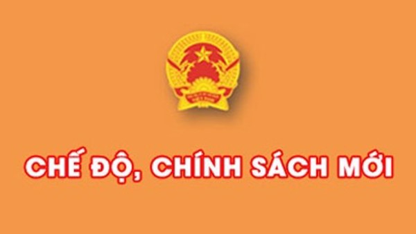 Mức phụ cấp hàng tháng đối với người hoạt động không chuyên trách ở thôn, buôn, tổ dân phố; mức khoán kinh phí hoạt động của Ủy ban Mặt trận Tổ quốc và các tổ chức chính trị xã hội cấp xã trên địa bàn tỉnh kể từ ngày 01/01/2022