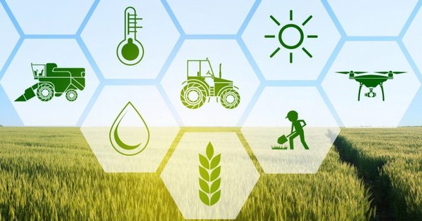 Kế hoạch thực hiện Chiến lược phát triển nông nghiệp và nông thôn bền vững tỉnh Đắk Lắk giai đoạn 2021 – 2030, tầm nhìn đến năm 2050