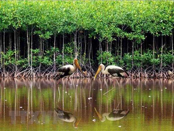 Hưởng ứng Cuộc thi “Ảnh về bảo tồn và sử dụng bền vững các vùng đất ngập nước của Việt Nam”