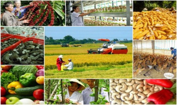 Chính phủ ban hành Chương trình hành động về thực hiện  nông nghiệp, nông dân, nông thôn đến năm 2030, tầm nhìn đến năm 2045