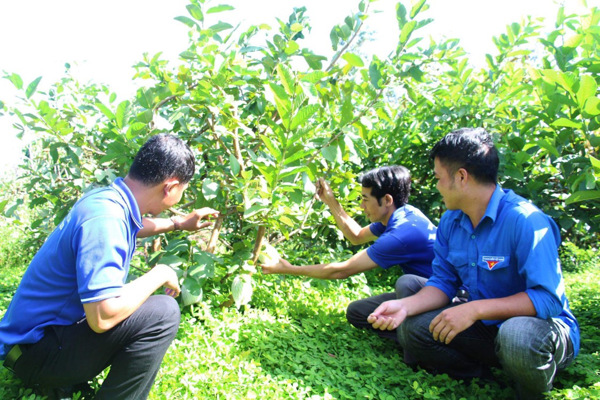 UBND tỉnh ban hành Chương trình phát triển thanh niên tỉnh Đắk Lắk giai đoạn 2021 – 2030