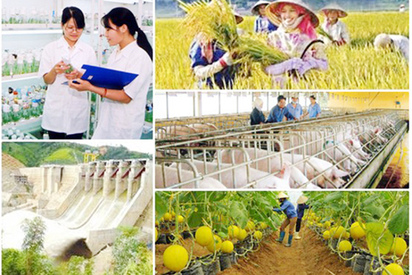 Quy chế sử dụng nguồn vốn huy động khác thực hiện các Chương trình mục tiêu quốc gia trên địa bàn tỉnh