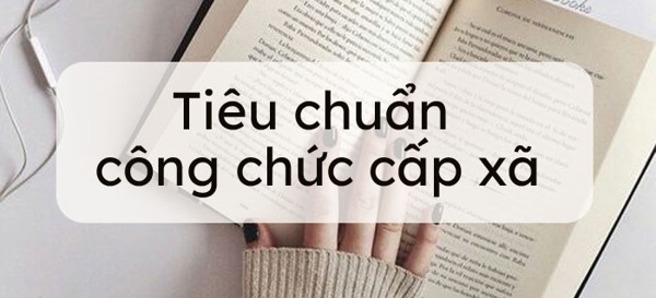 Tiêu chuẩn trình độ chuyên môn nghiệp vụ đối với công chức làm việc tại các xã miền núi, vùng cao, biên giới, vùng sâu, vùng xa, vùng dân tộc thiểu số, vùng có điều kiện kinh tế xã hội đặc biệt khó khăn trên địa bàn tỉnh