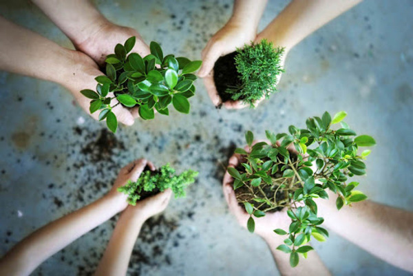 Quy định về đánh giá sơ bộ tác động môi trường