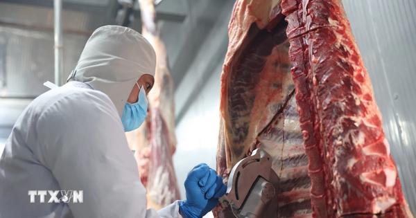 Đắk Lắk chấn chỉnh công tác kiểm soát giết mổ, tăng cường kỷ luật, kỷ cương công vụ