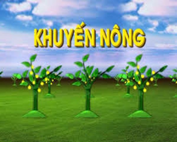 Đắk Lắk ban hành Quy chế phối hợp mới trong công tác khuyến nông