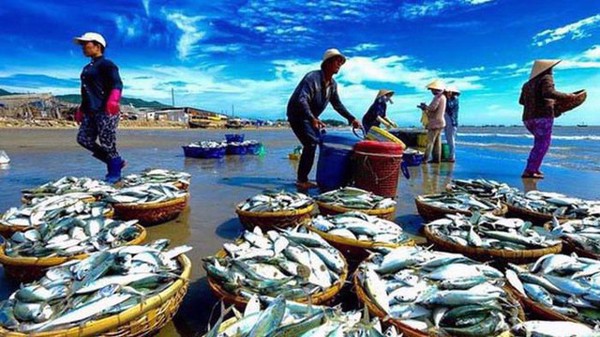 Đắk Lắk triển khai thực hiện Chương trình quốc gia Bảo vệ và Phát triển nguồn lợi thủy sản đến năm 2030