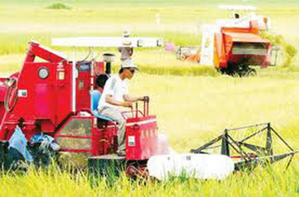 UBND tỉnh phát động phong trào thi đua xây dựng Nông thôn mới