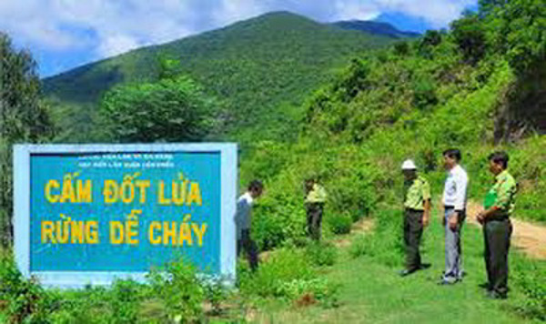 Tuyên truyền, phổ biến, giáo dục pháp luật về bảo vệ rừng và phòng cháy chữa cháy rừng