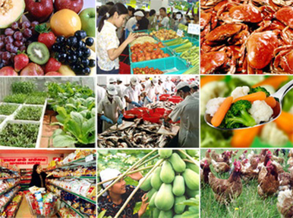  Đẩy mạnh công tác bảo đảm an toàn thực phẩm và phòng chống ngộ độc thực phẩm trong tình hình mới