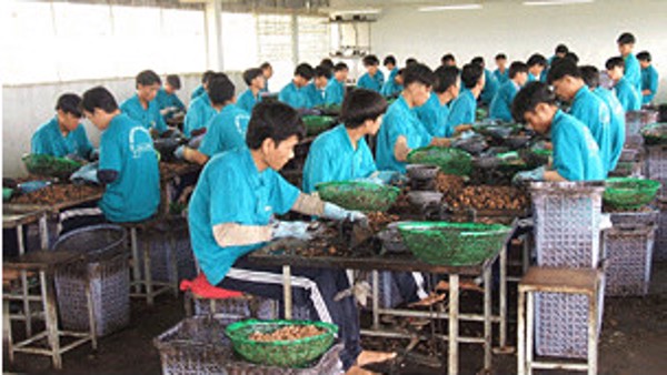 Chế độ đối với đối tượng bị áp dụng biện pháp đưa vào cơ sở cai nghiện bắt buộc