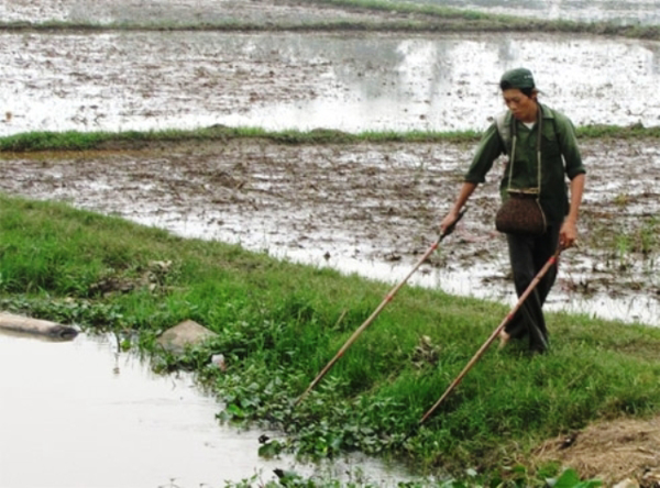 Nghiêm cấm hành vi hủy diệt trong khai thác thủy sản trên địa bàn tỉnh