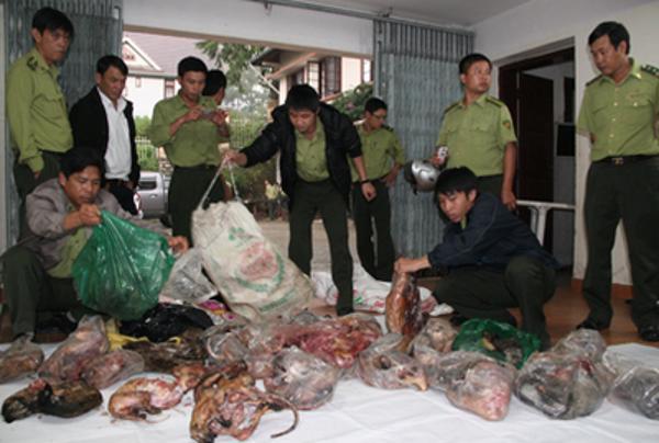 Tăng cường quản lý gây nuôi, mua bán, sử dụng động vật hoang dã  trên địa bàn tỉnh