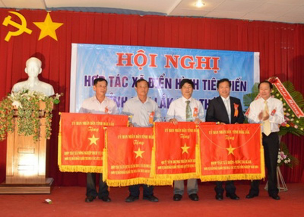 UBND tỉnh Đắk Lắk chỉ đạo thực hiện phát triển kinh tế tập thể