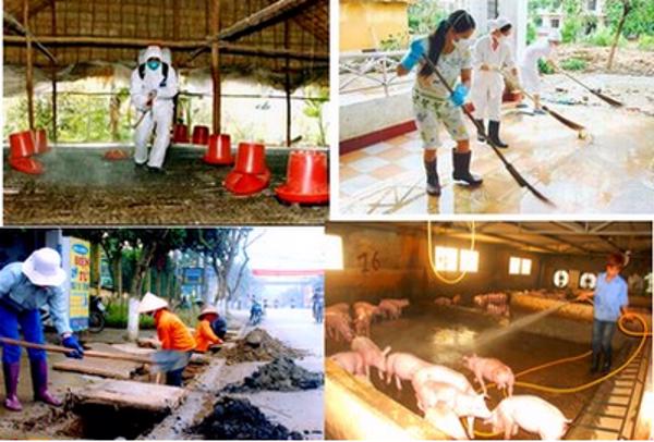 Triển khai tháng vệ sinh, tiêu độc, khử trùng đợt 3/2014