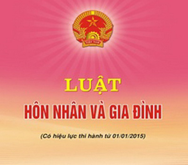 Chính phủ đã ban hành Nghị định quy định chi tiết một số điều và biện pháp thi hành Luật Hôn nhân và gia đình