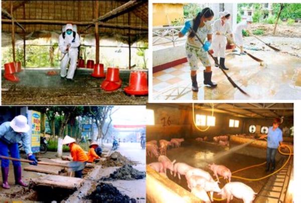 Triển khai Tháng vệ sinh, tiêu độc, khử trùng đợt 2 năm 2015