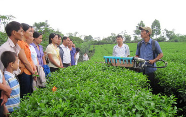 Hỗ trợ ứng dụng, chuyển giao tiến bộ khoa học và công nghệ thúc đẩy phát triển kinh tế - xã hội nông thôn, miền núi, vùng dân tộc thiểu số giai đoạn 2016 - 2025