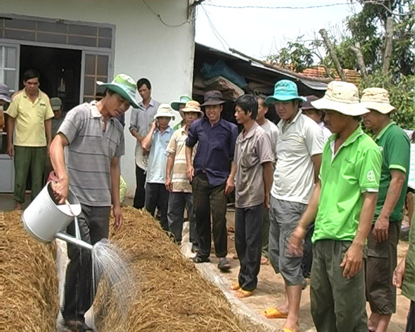 UBND tỉnh Đắk Lắk ban hành Kế hoạch đào tạo nghề nông nghiệp cho lao động nông thôn giai đoạn 2017 - 2020