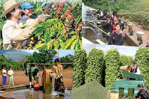 Hỗ trợ phát triển kinh tế xã hội vùng dân tộc thiểu số, miền núi