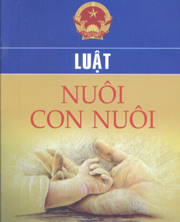 Trẻ em được cho làm con nuôi nước ngoài sẽ được bảo vệ trong trường hợp cần thiết