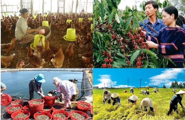 Hướng dẫn quy trình xác định hộ gia đình làm nông nghiệp, lâm nghiệp, ngư nghiệp và diêm nghiệp có mức sống trung bình giai đoạn 2016 - 2020