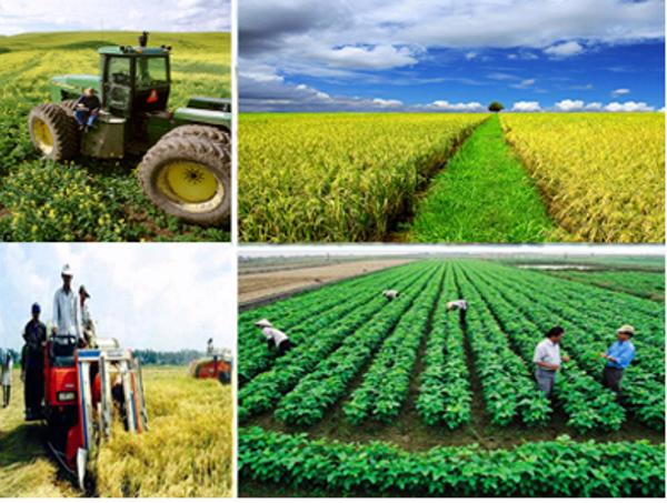 Kế hoạch cơ cấu lại ngành nông nghiệp giai đoạn 2017 – 2020