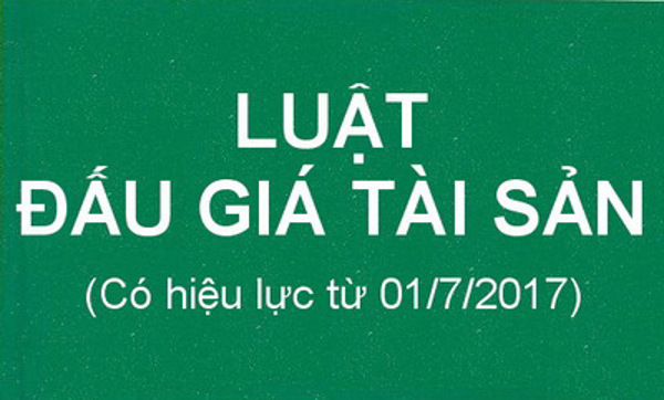 Những tài sản phải bán thông qua đấu giá