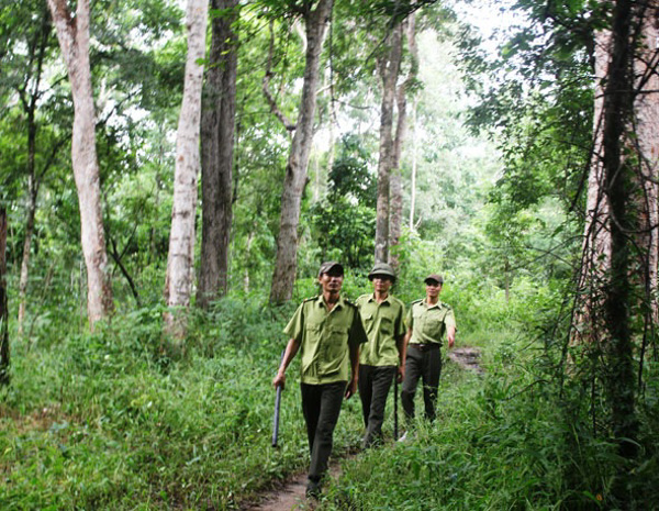  UBND tỉnh Đắk Lắk chỉ đạo ngăn chặn tình trạng chống người thi hành công vụ trong lĩnh vực quản lý, bảo vệ rừng