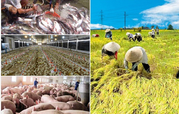 Nghị định số 57/2018/NĐ-CP: Nhiều chính sách khuyến khích doanh nghiệp đầu tư vào nông nghiệp, nông thôn