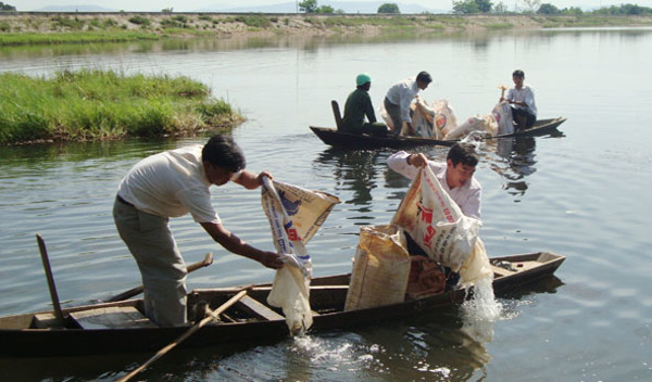 UBND tỉnh ban hành Kế hoạch thực hiện Đề án bảo vệ và phát triển nguồn lợi thủy sản tại các thủy vực sông, hồ chứa trên địa bàn tỉnh