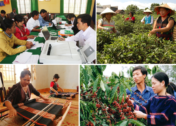 Hỗ trợ phát triển hợp tác xã nông nghiệp vùng đồng bào dân tộc thiểu số trên địa bàn tỉnh
