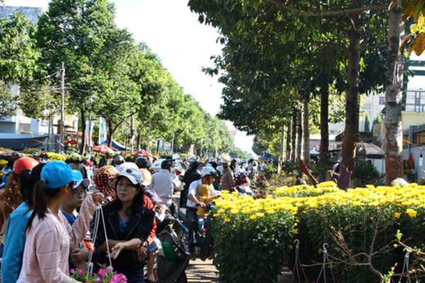 Chỉ thị của Bộ trưởng Bộ Tư pháp về tổ chức Tết Nguyên đán Kỷ Hợi 2019
