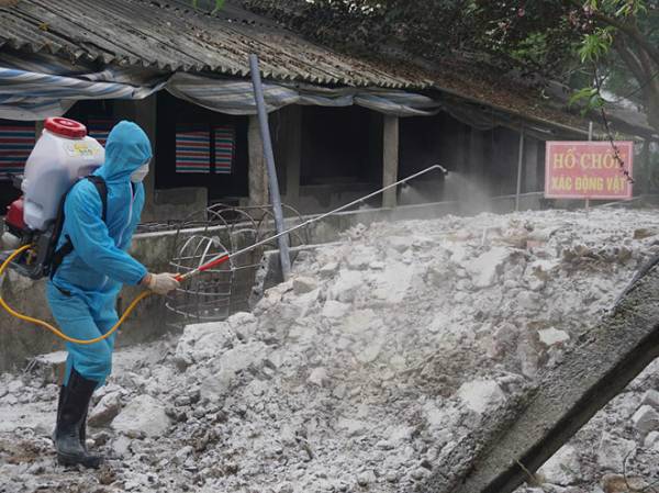 Ban chỉ đạo 389 Quốc gia yêu cầu triển khai đồng bộ các giải pháp cấp bách phòng ngừa, ngăn chặn bệnh Dịch tả lợn Châu phi