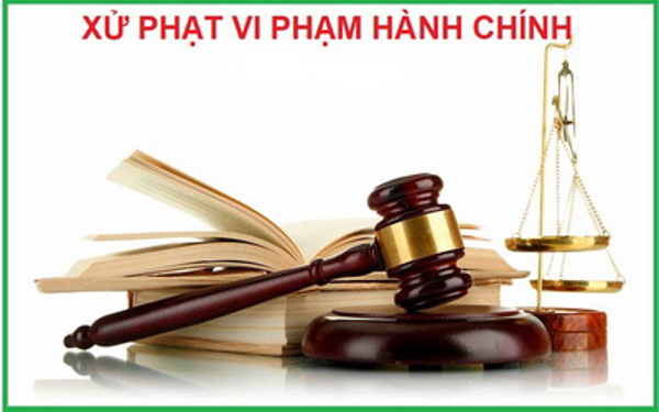Chủ tịch UBND tỉnh chỉ đạo thực hiện một số nhiệm vụ trong công tác xử phạt vi phạm hành chính
