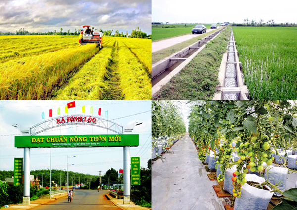 Kế hoạch thực hiện Chương trình mục tiêu quốc gia xây dựng nông thôn mới năm 2020 tỉnh Đắk Lắk