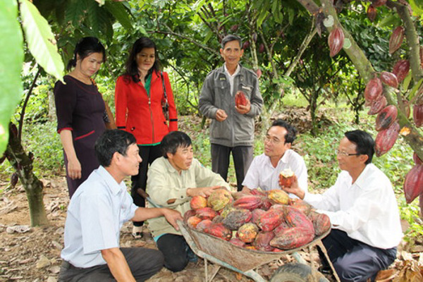  Một số giải pháp tháo gỡ khó khăn do ảnh hưởng của dịch bệnh Covid-19 đối với khu vực Kinh tế tập thể và Hợp tác xã trên địa bàn tỉnh Đắk Lắk
